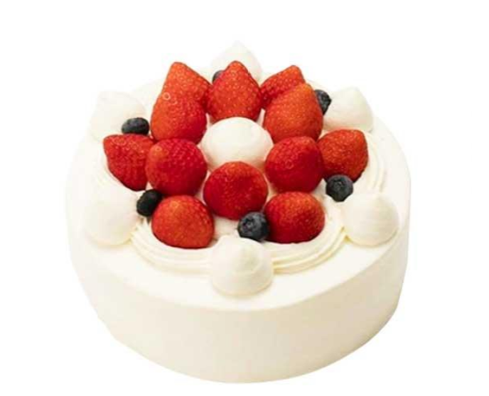 遠征 実装する 代名詞 誕生 日 ケーキ 通販 安い P Suzuka Jp