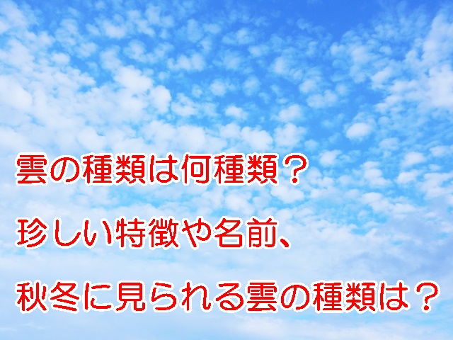 ラピュタの雲の名前や正体は 竜の巣の中に入るとどうなる 30代からの簡単糖質ダイエット ときどき豆知識